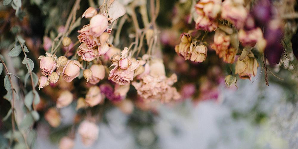 composizione floreale fiori secchi