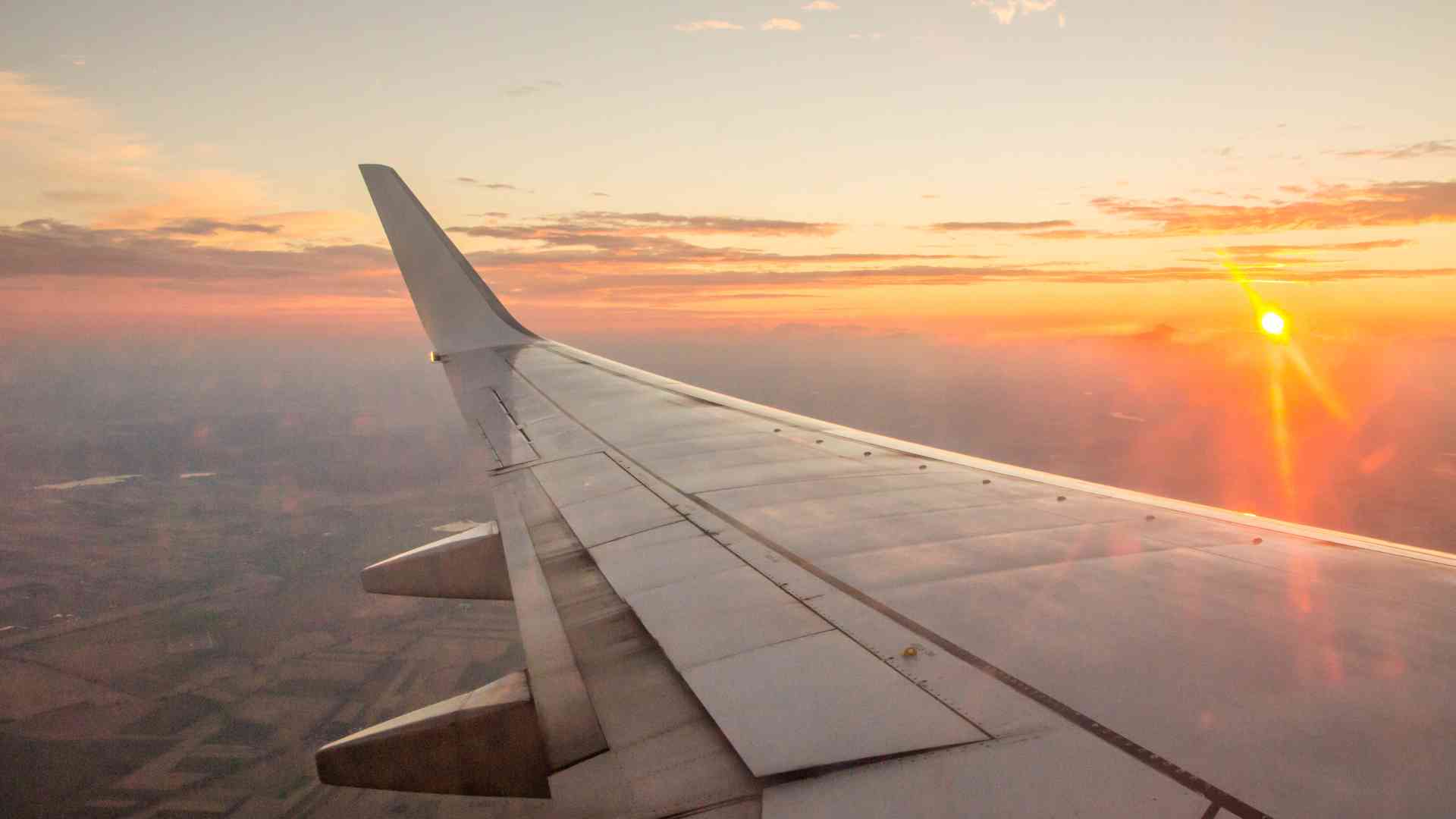 Matrimonio in volo concorso Wizz Air