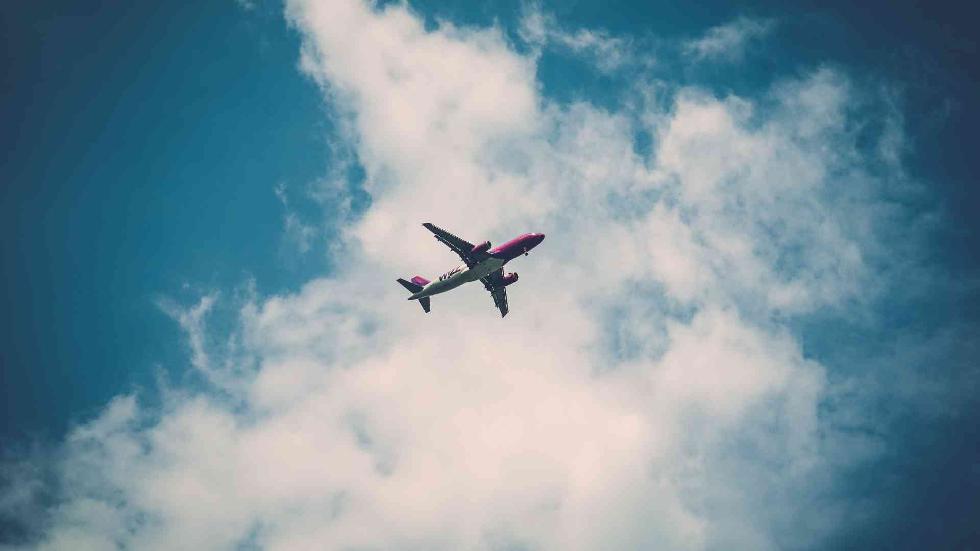 Matrimonio in volo concorso Wizz Air